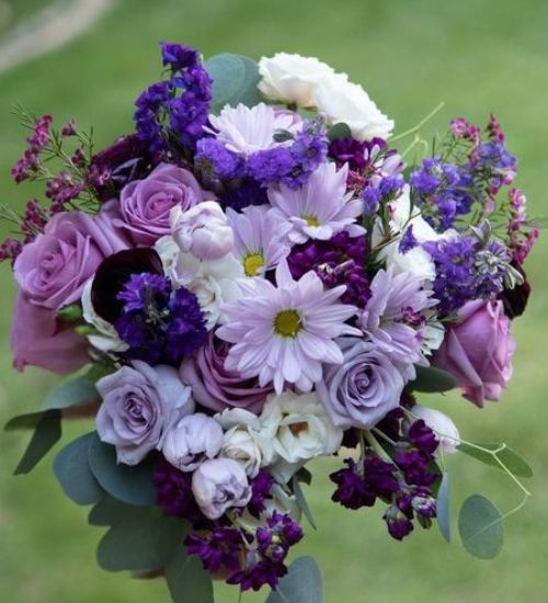 Blues and Purples Main Photo (500 x 550 px)