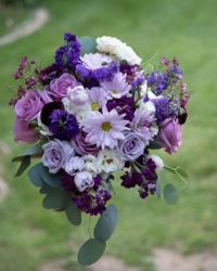 Blues and Purples Main Photo